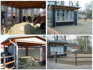 Provoz Horseking - Rollraufe Provoz Horseking - Rollraufe